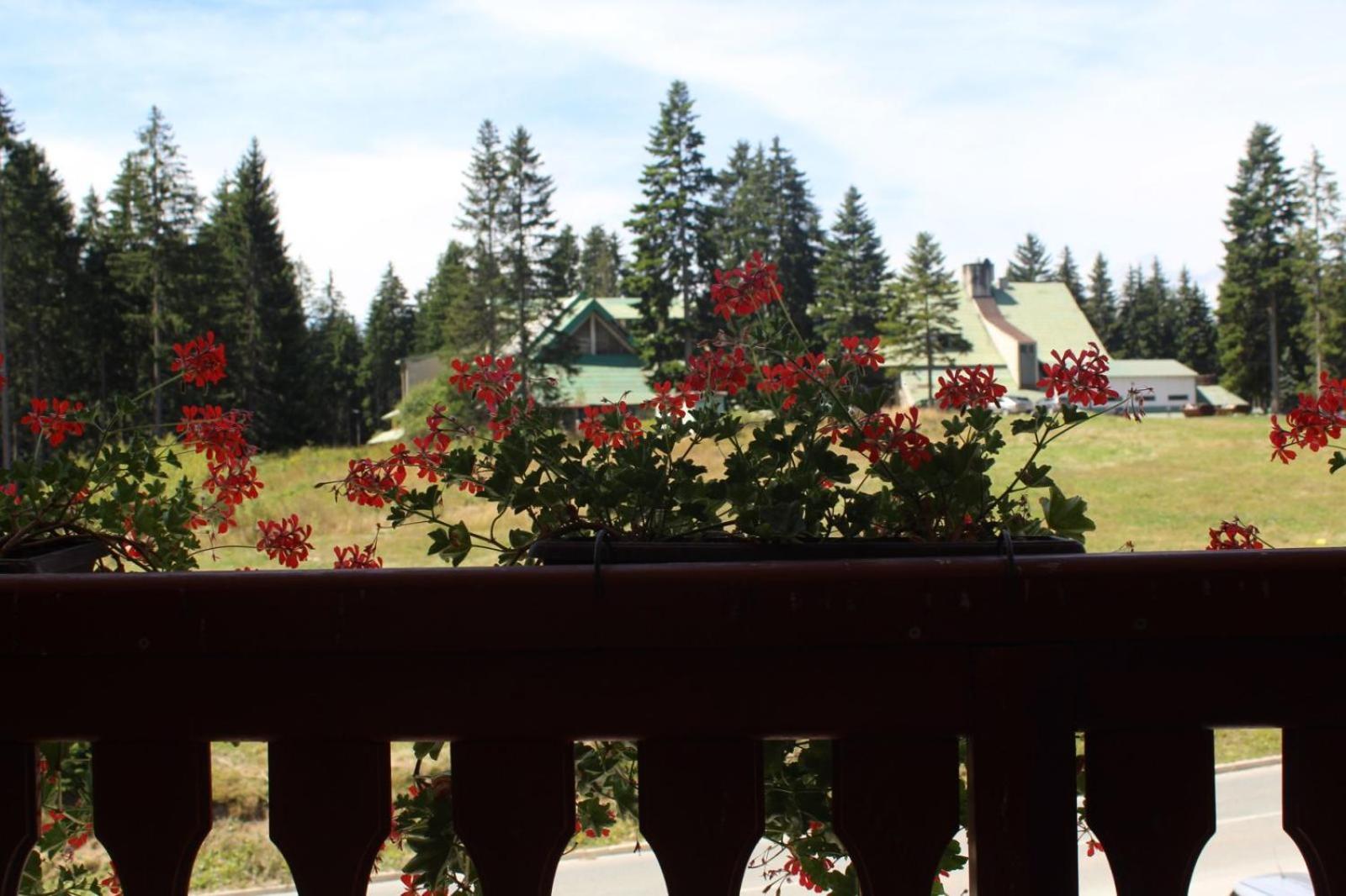 In Hotel Zlatar Ex Zlatarski Biseri Nova Varoš Buitenkant foto