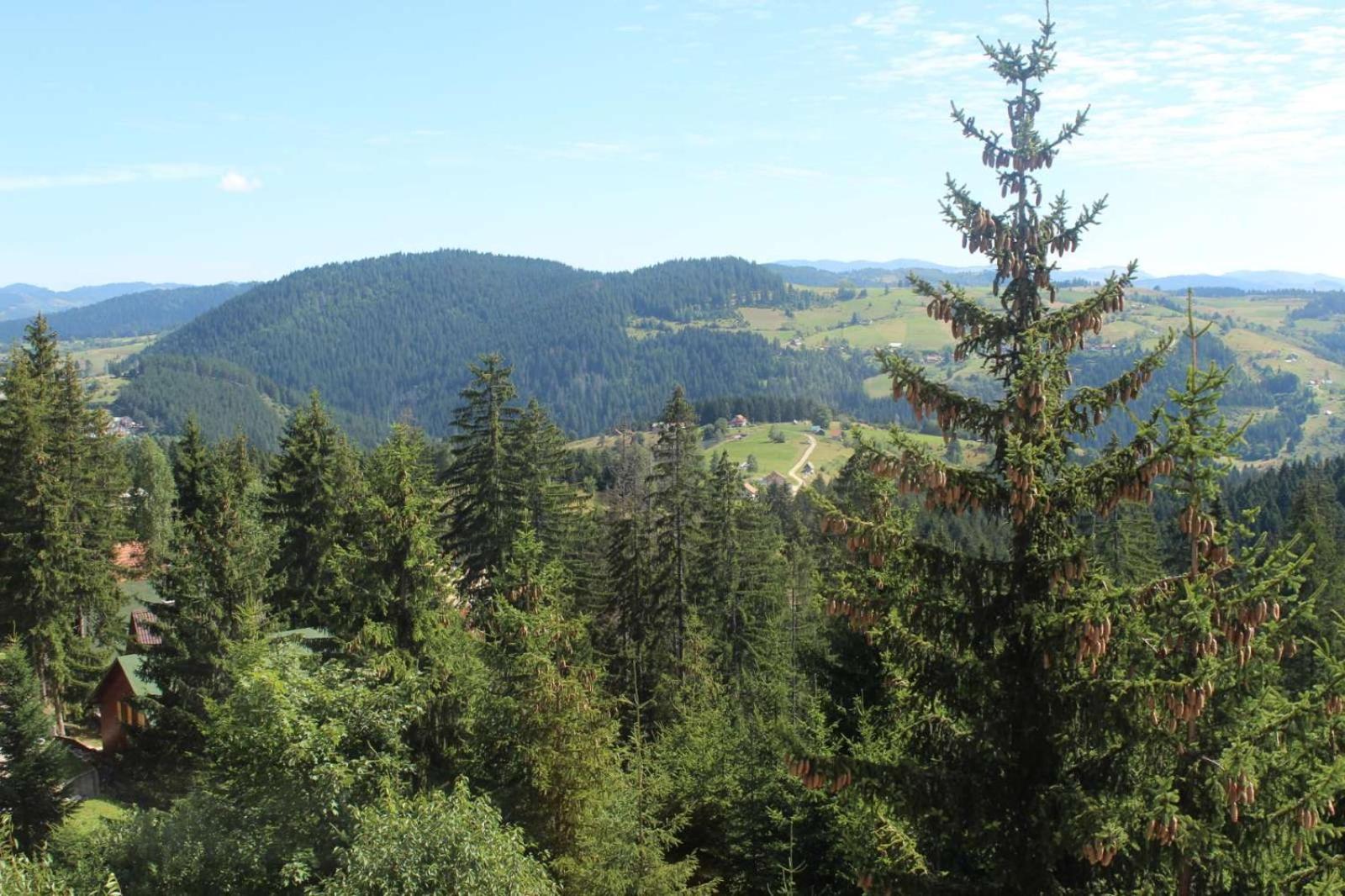 In Hotel Zlatar Ex Zlatarski Biseri Nova Varoš Buitenkant foto