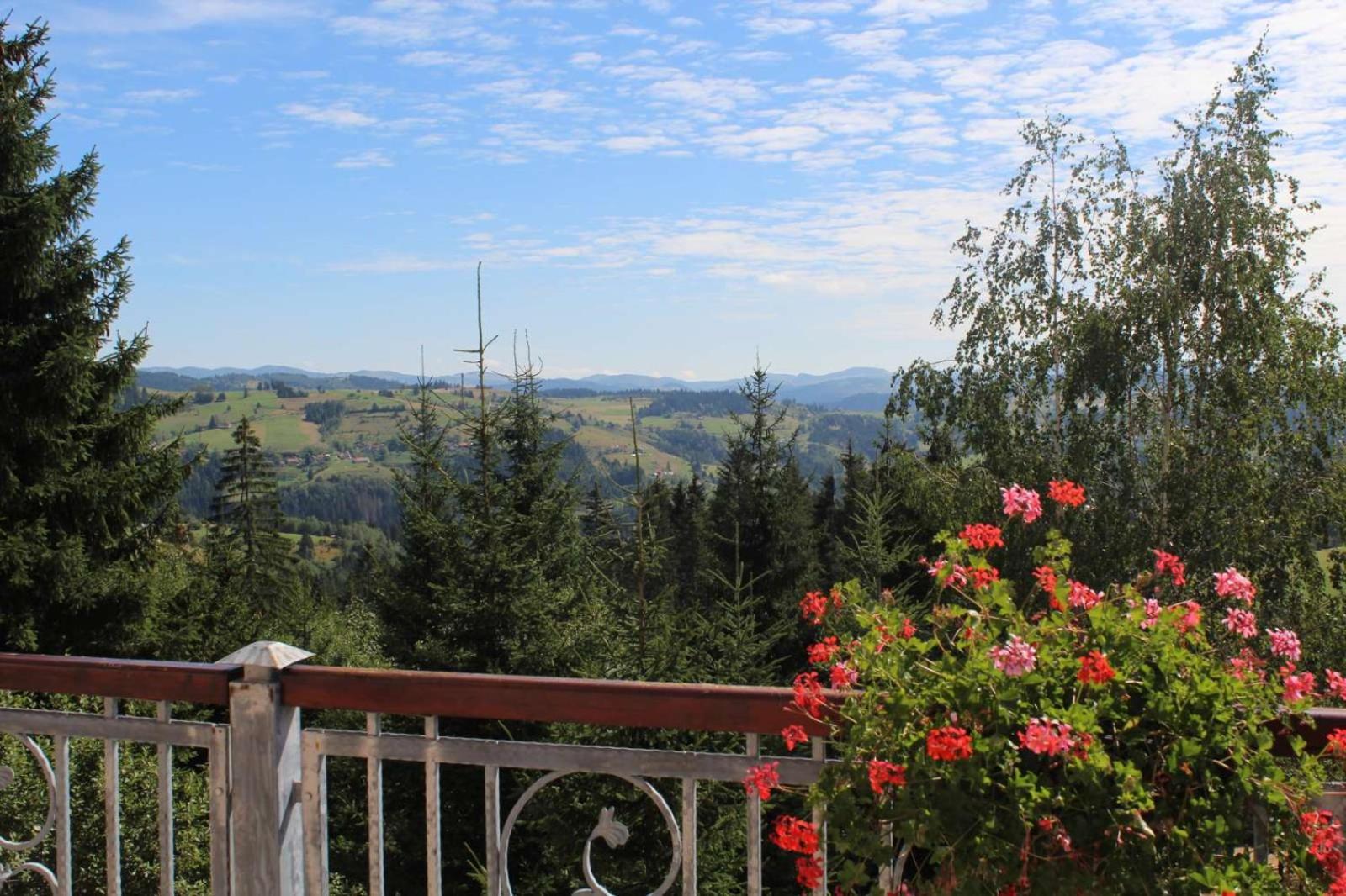 In Hotel Zlatar Ex Zlatarski Biseri Nova Varoš Buitenkant foto