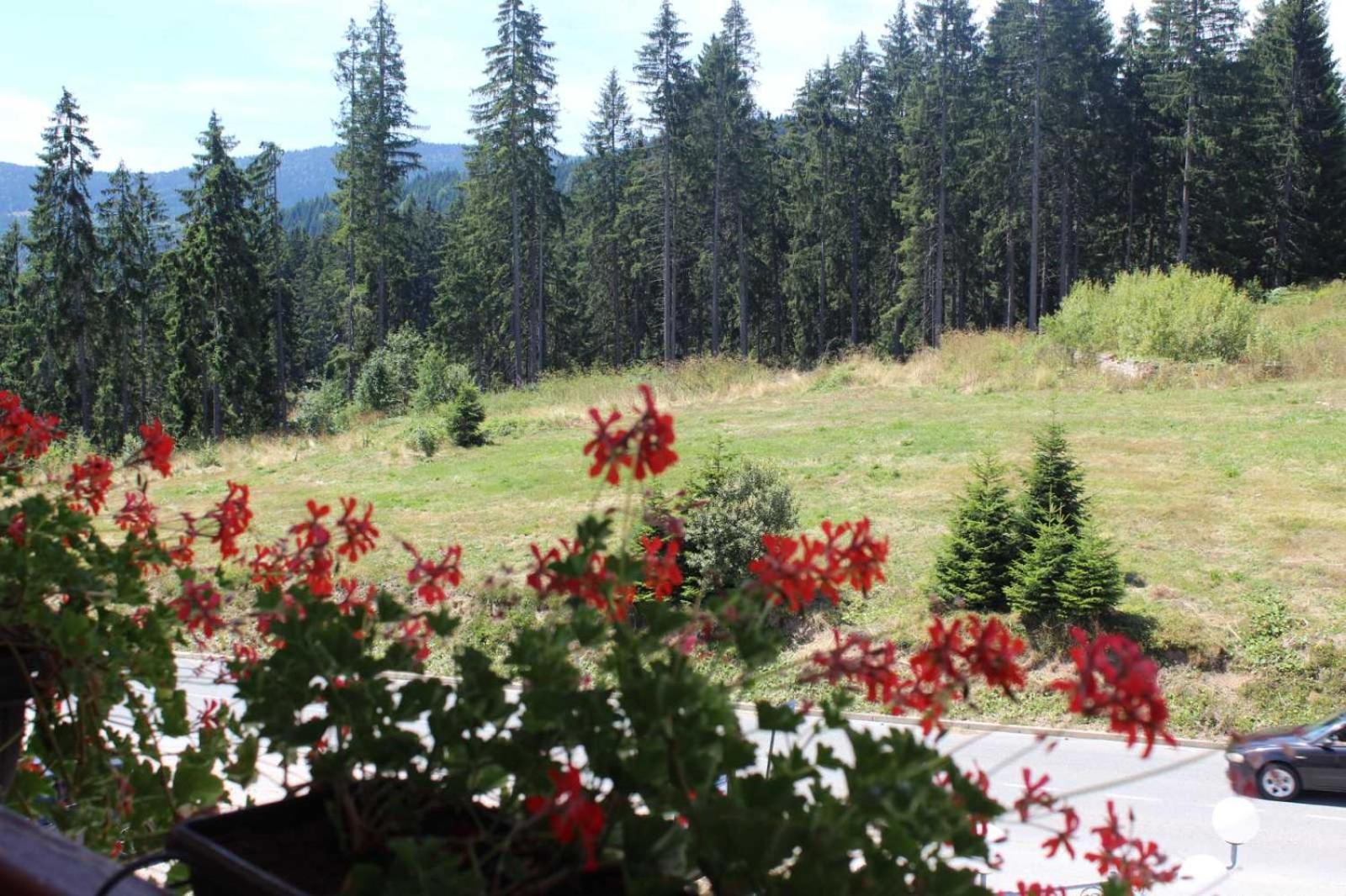 In Hotel Zlatar Ex Zlatarski Biseri Nova Varoš Buitenkant foto